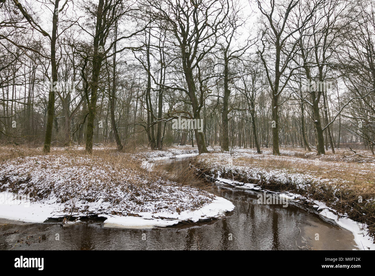 Mäandernden Fluss in Winterlandschaft mit Schnee und Eis in einem Wald, Niederlande Stockfoto
