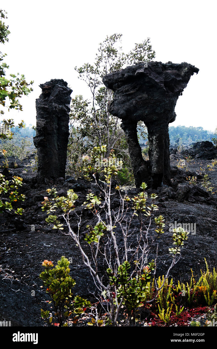 Hawaiianische Hauptinsel, die große Insel, Straßenszenen in Hilo und anderen Städten und Stadtlandschaften - Stadtlandschaften Stockfoto