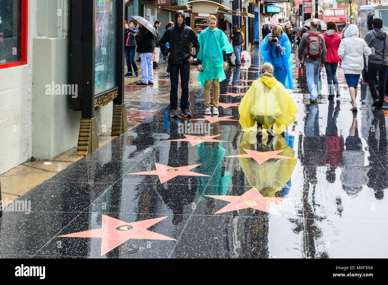 Touristen unter den Sternen auf dem Hollywood Walk of Fame, L.A., Kalifornien Stockfoto