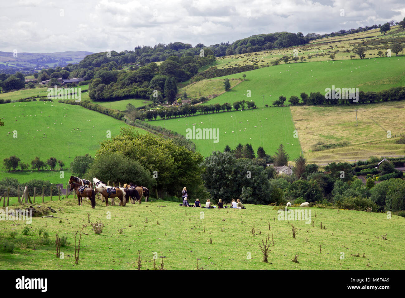 Pferde und Reiter Anschlag auf Deich Fernwanderweg der Offa's auf Disgwylfa Hügel über Newchurch Montgomeryshire zu ruhen, während eine auf pony Trekking Urlaub Stockfoto