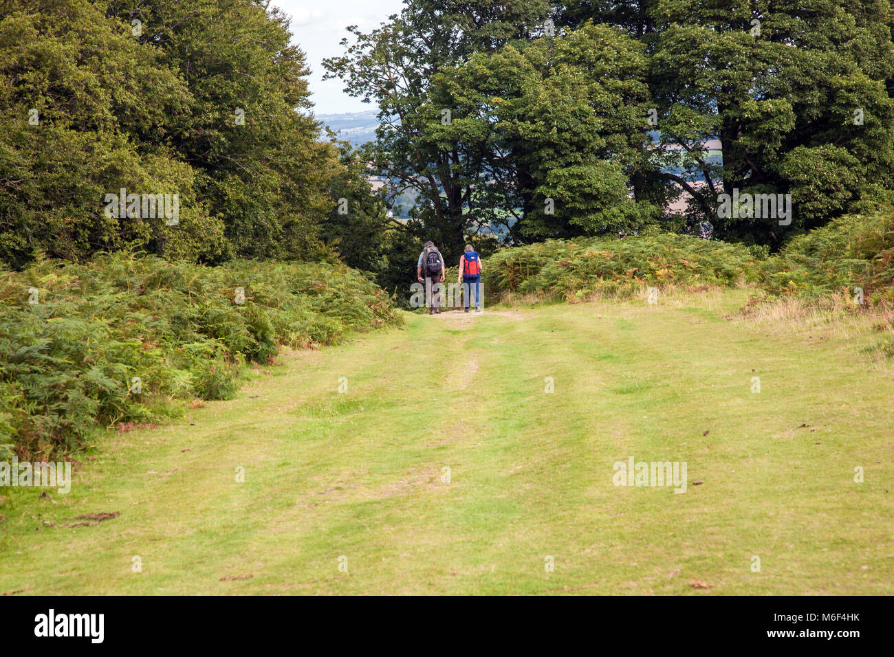 Männer, die Rucksäcke / Rucksäcke weg Hergest Ridge auf Kington Powys beim Gehen auf der Offa's Dyke lange Distanz nationalen Wanderweg Stockfoto