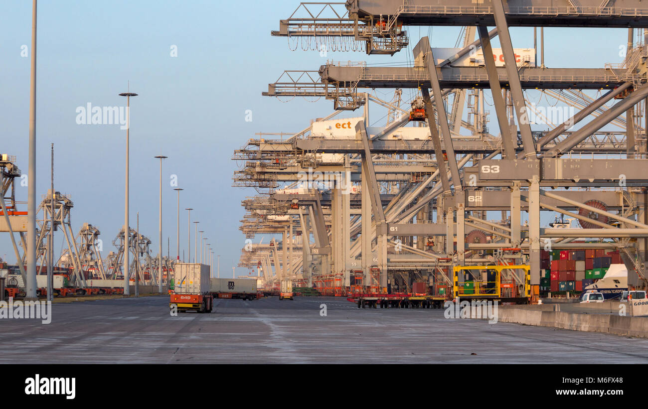 ROTTERDAM, Jul 9, 2013: Automated Guided Vehicles Verschieben von Containern zu und von Containerbrücken in einem Hafen Container Terminal. Stockfoto