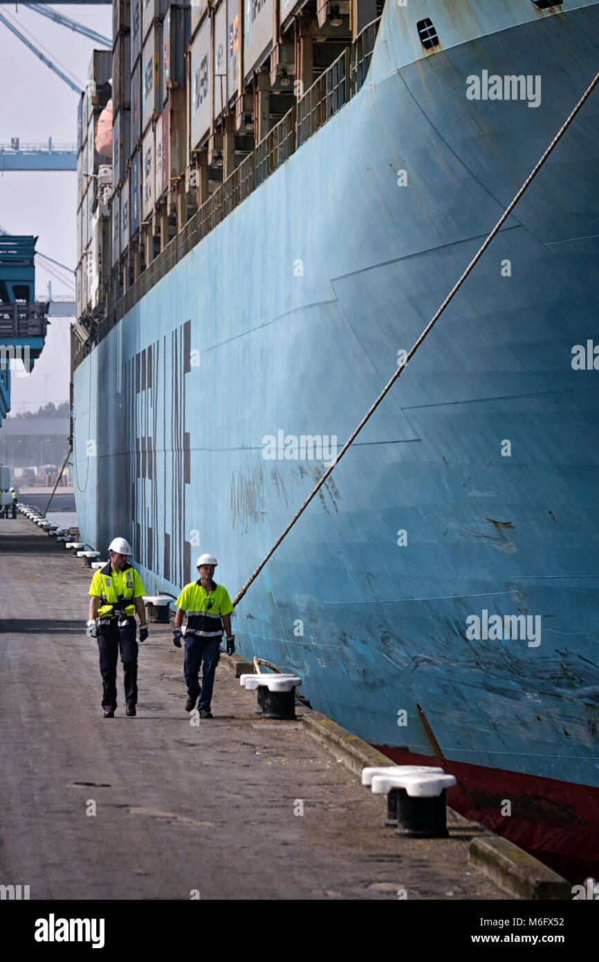 ROTTERDAM - Sep 6, 2013: Dock Arbeitern in einem Maersk Schiff in den Hafen von Rotterdam vertäut. Stockfoto
