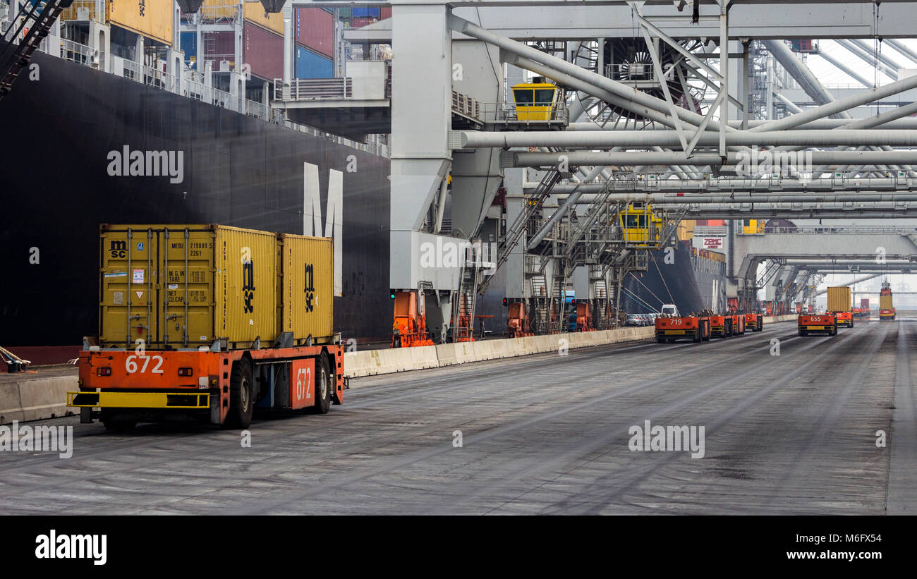 ROTTERDAM, Sep 6, 2013: Automated Guided Vehicles Verschieben von Containern zu und von Containerbrücken in einem Hafen Container Terminal. Stockfoto