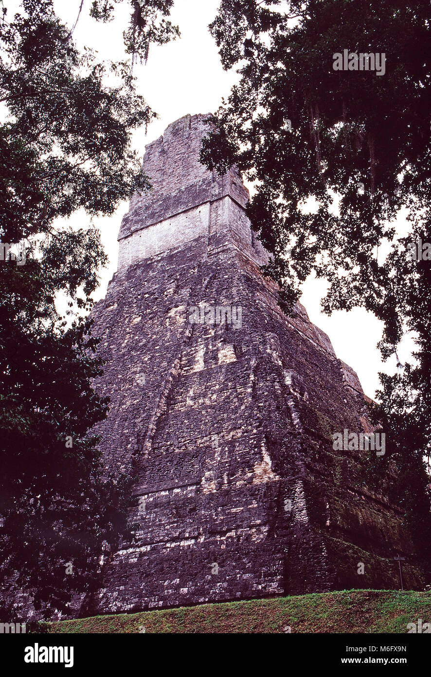 Tempel des Jaguars. Tikal, Guatemala Stockfoto