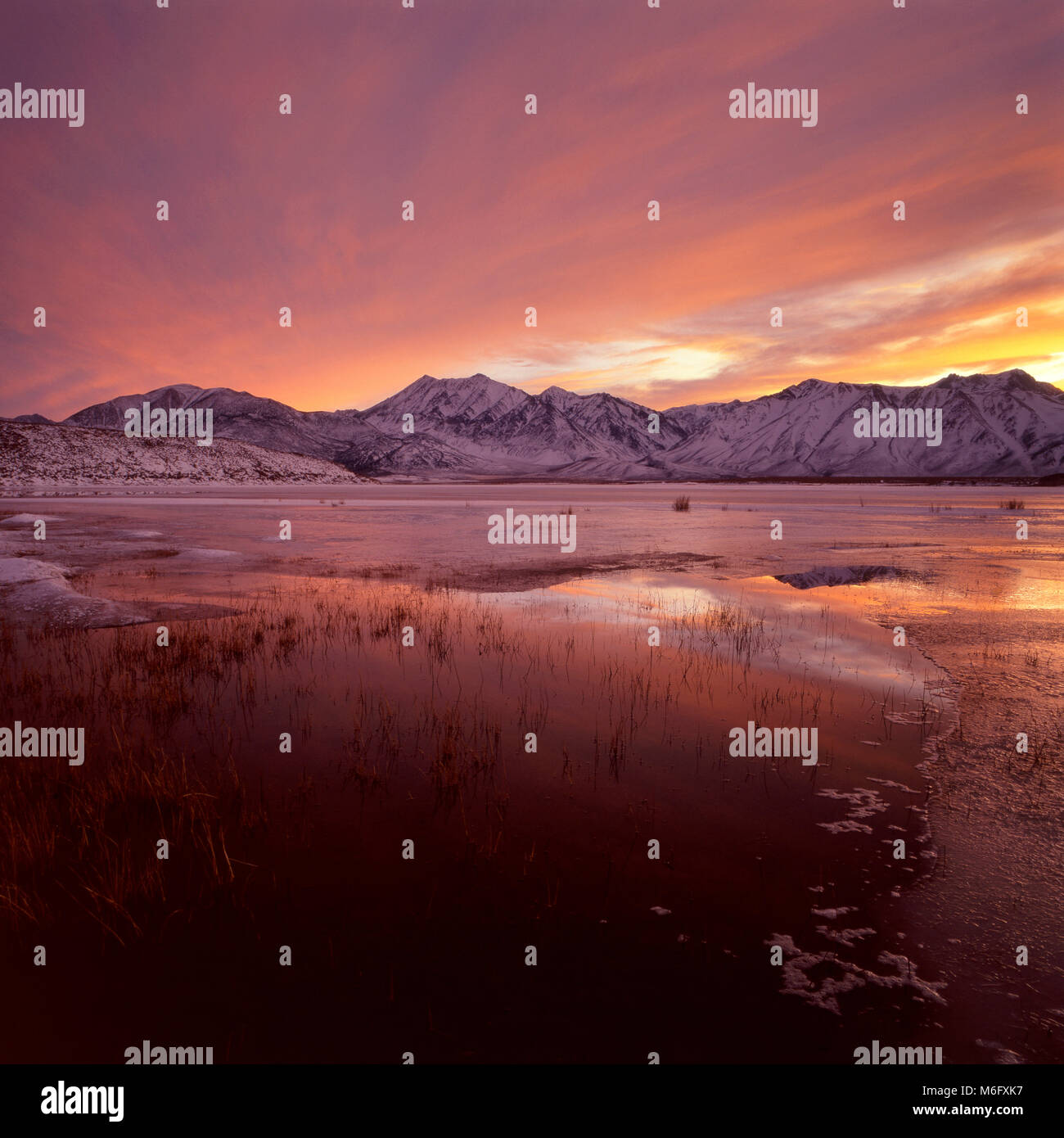 Sonnenuntergang, Crowley Lake, Mount Morgan, Roter Berg, Inyo National Forest, östlichen Sierra, Kalifornien Stockfoto