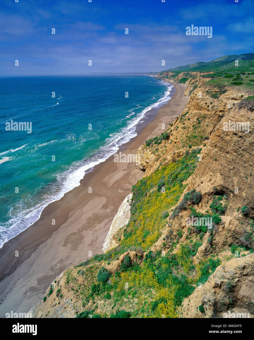 Geformtes, Strand, Point Reyes National Seashore, Kalifornien, Marin County, Kalifornien Stockfoto