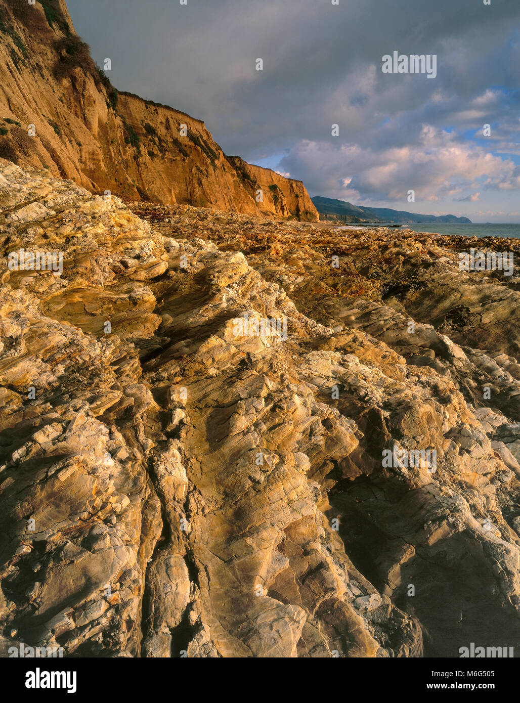 Geformtes, Strand, Burton Wüste, Point Reyes National Seashore, Marin County, Kalifornien Stockfoto