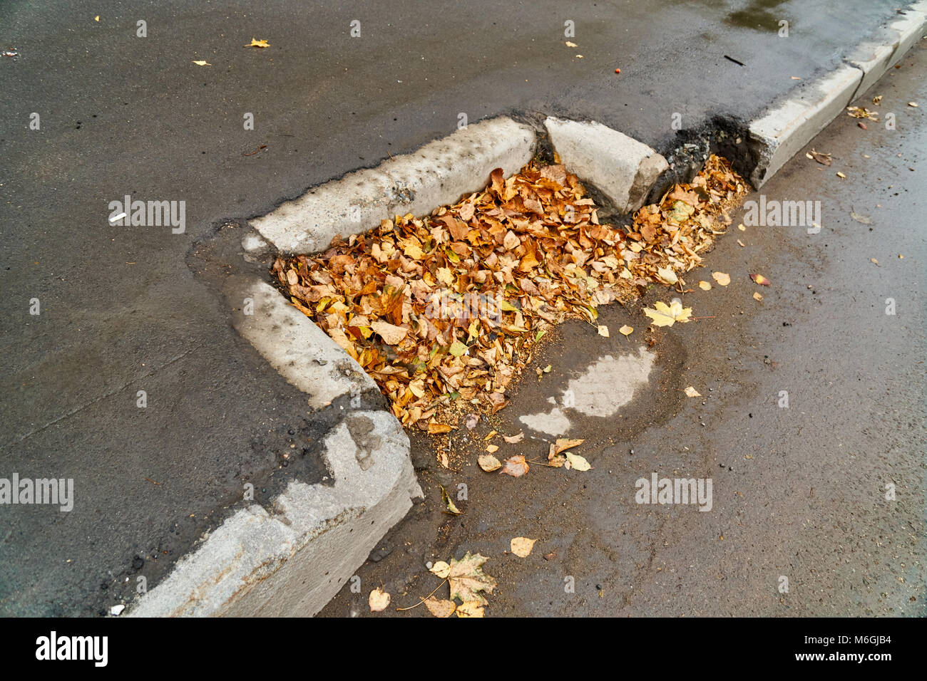 Trockenes Herbstlaub stapelt sich auf einem Sturmrost auf Asphaltstraße mit Pflasterstein Stockfoto