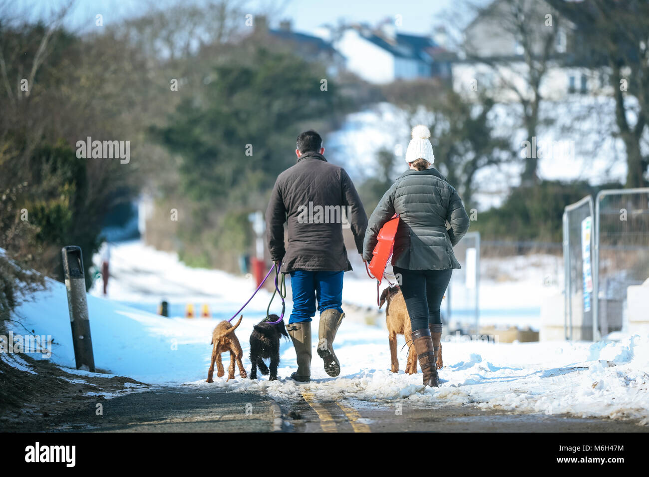 Die Nachwirkungen von Sturm Emma befindet sich im Küstenort Abersoch gesehen, mit einer starken Schneeverwehungen, Wind, Schnee am Strand und eine gefrorene Hafen. Stockfoto