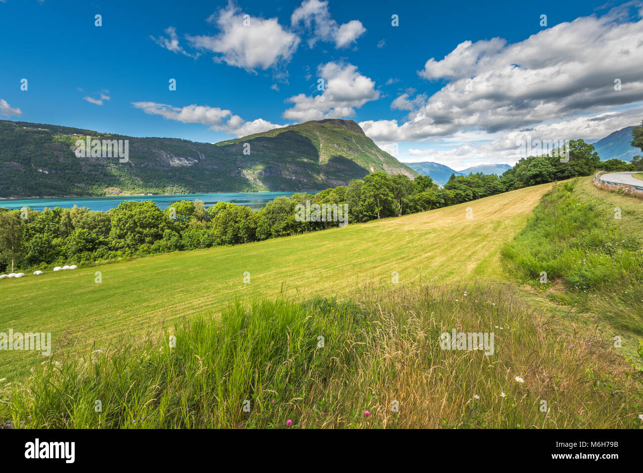 Fjordlandschaft mit Wiese und Straße in Ornes, Norwegen, das Meer der Lustrafjorden mit typischen türkisfarbenem Wasser, Sognefjorden Stockfoto