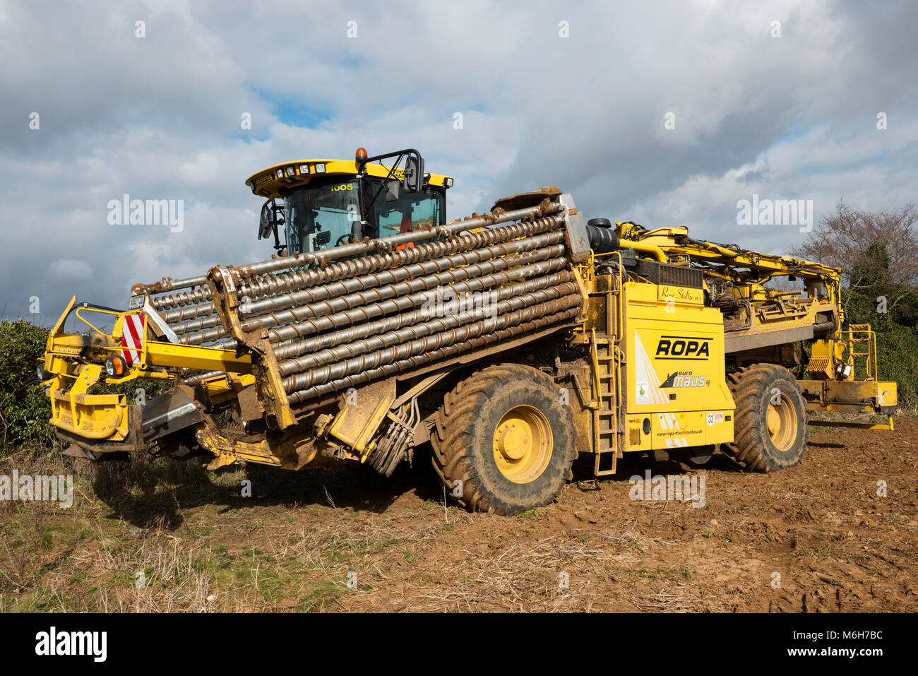 Ropa Euro Maus 4 Zuckerrüben Lader Stockfoto