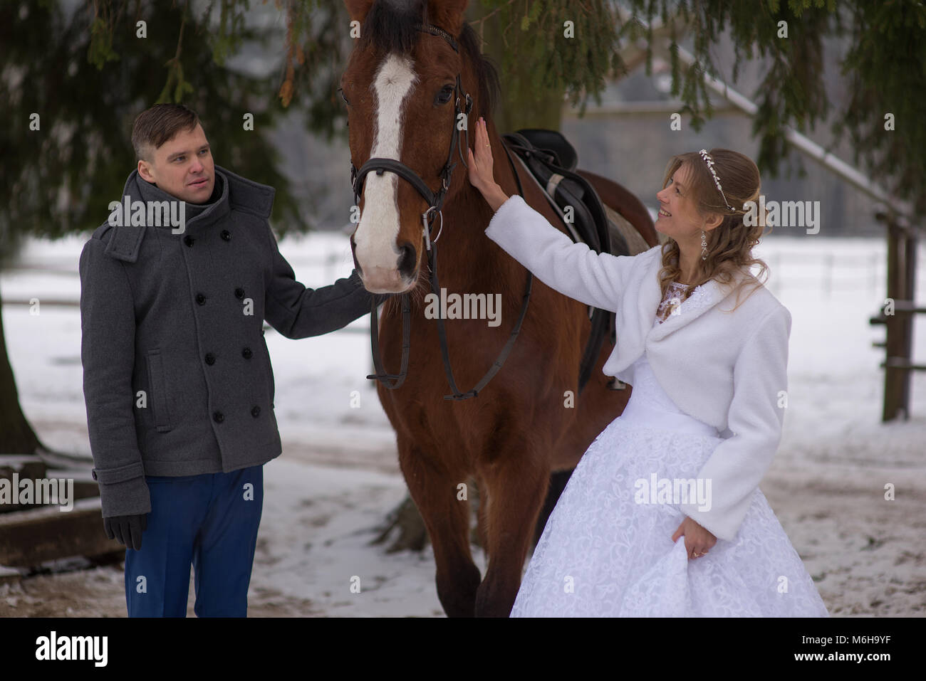 Schönen winter Hochzeit Stockfoto