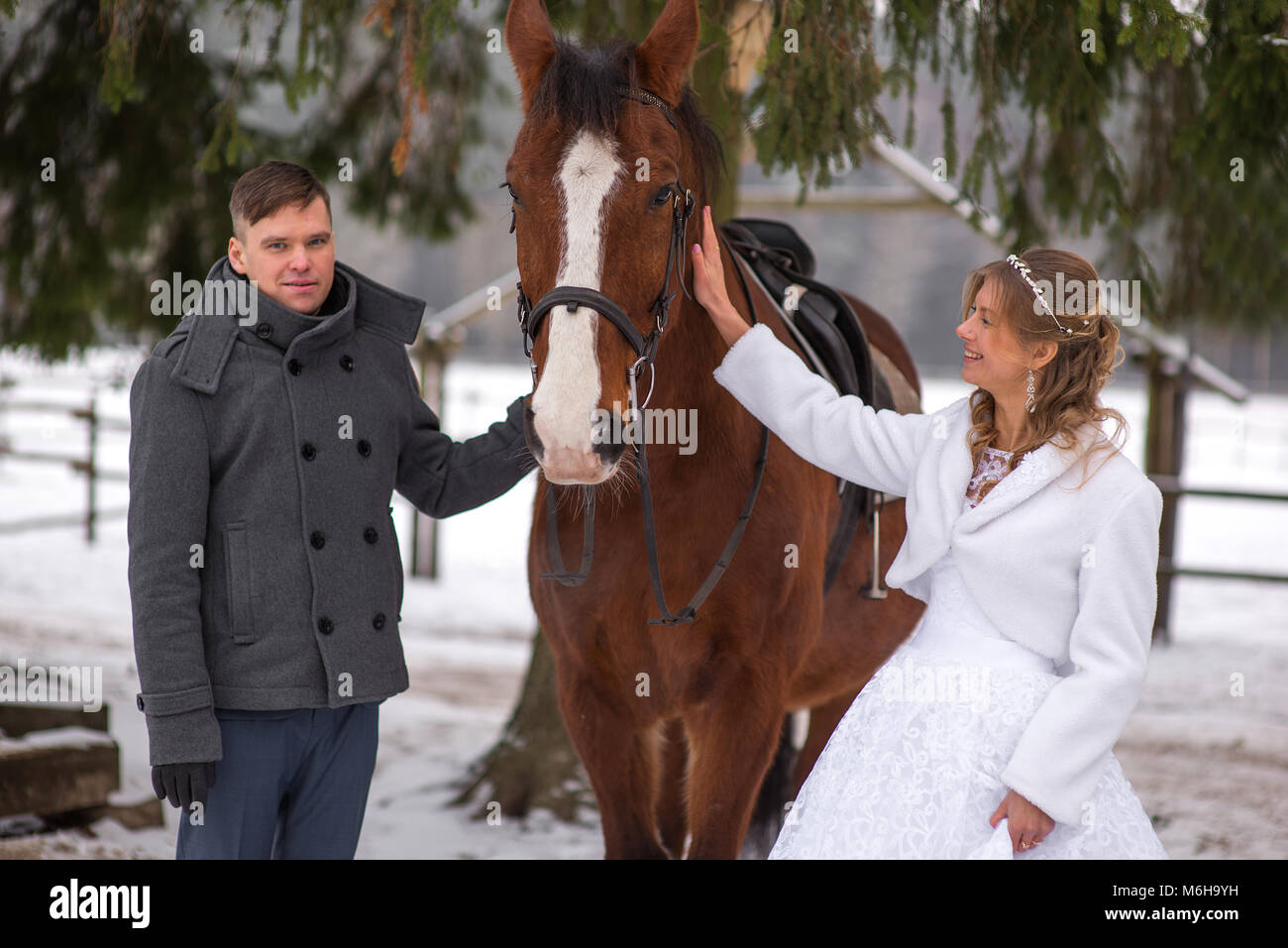 Schönen winter Hochzeit Stockfoto