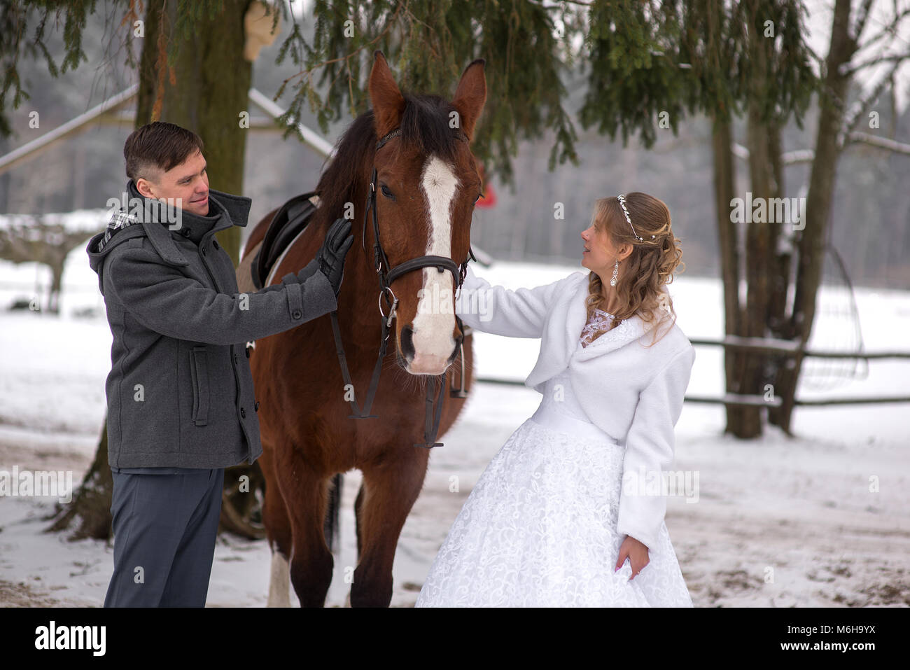 Schönen winter Hochzeit Stockfoto