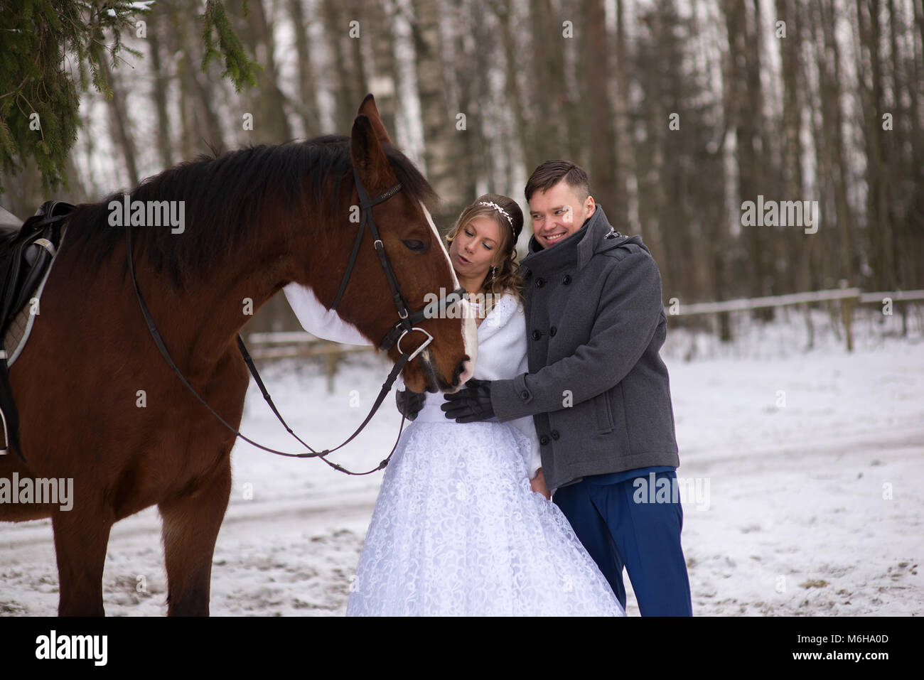 Schönen winter Hochzeit Stockfoto
