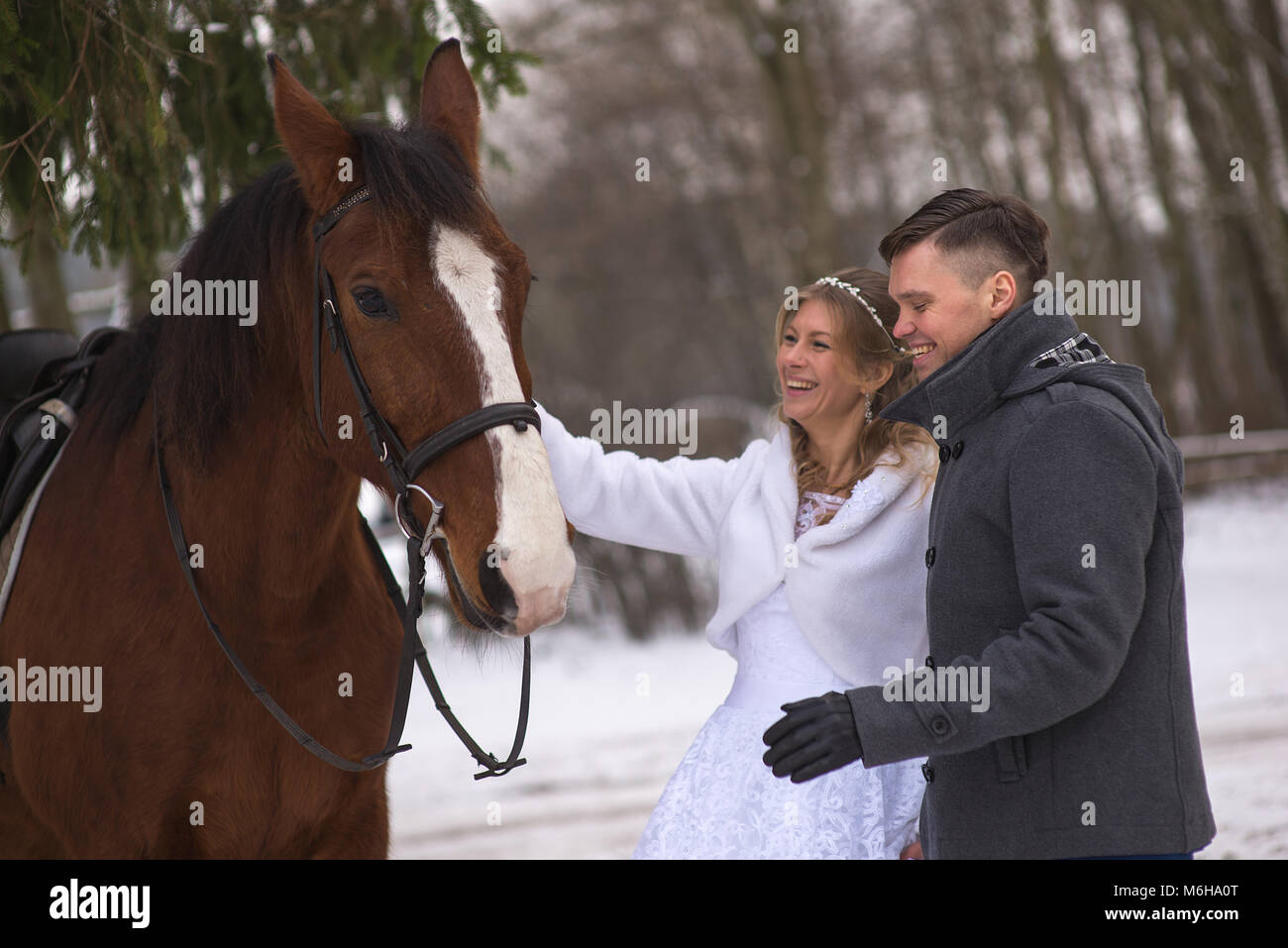 Schönen winter Hochzeit Stockfoto