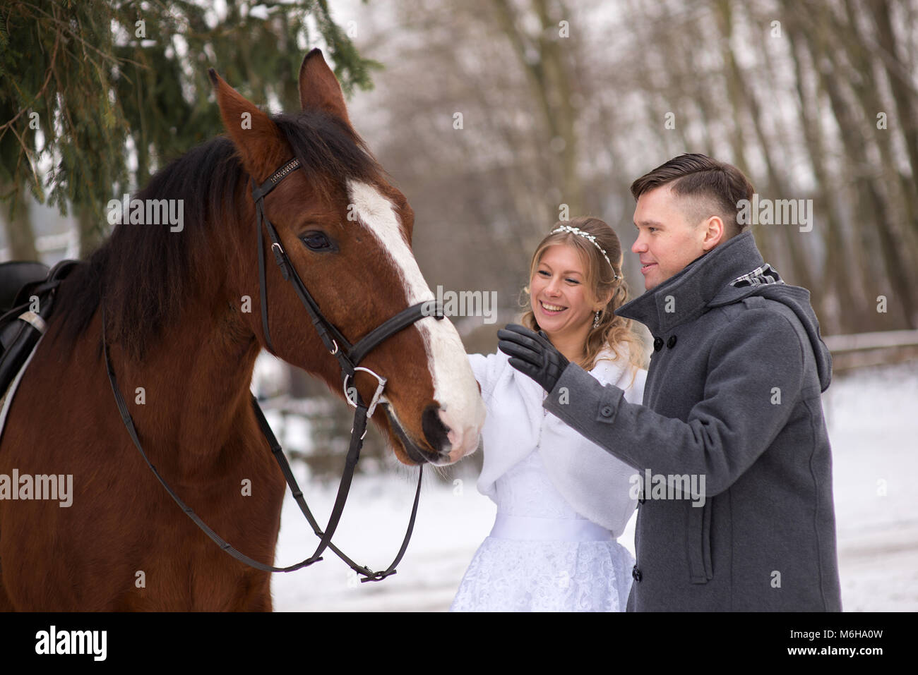 Schönen winter Hochzeit Stockfoto