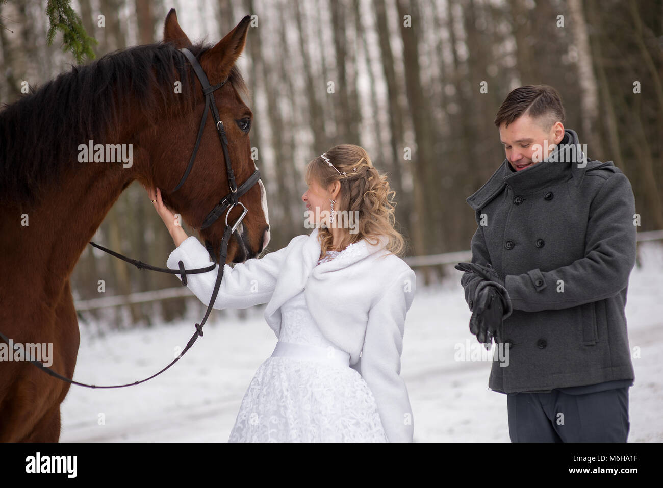 Schönen winter Hochzeit Stockfoto