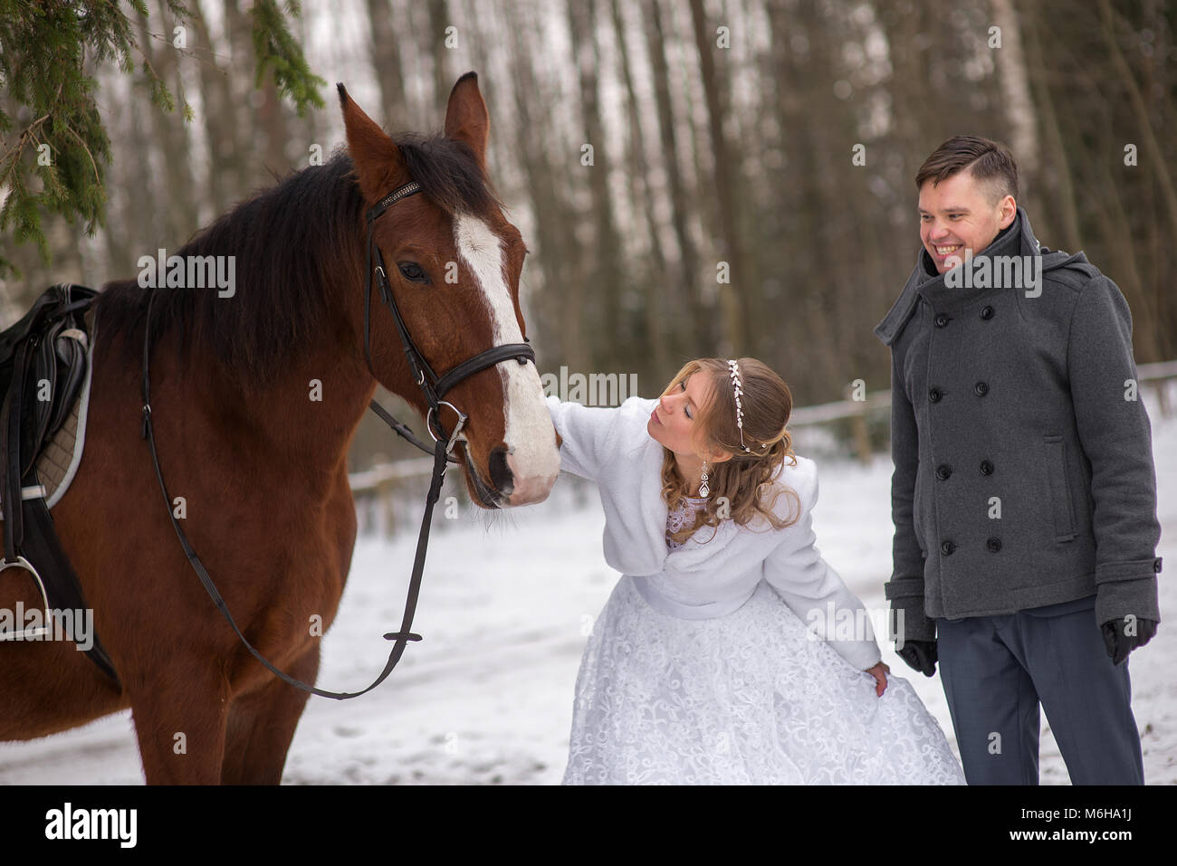 Schönen winter Hochzeit Stockfoto