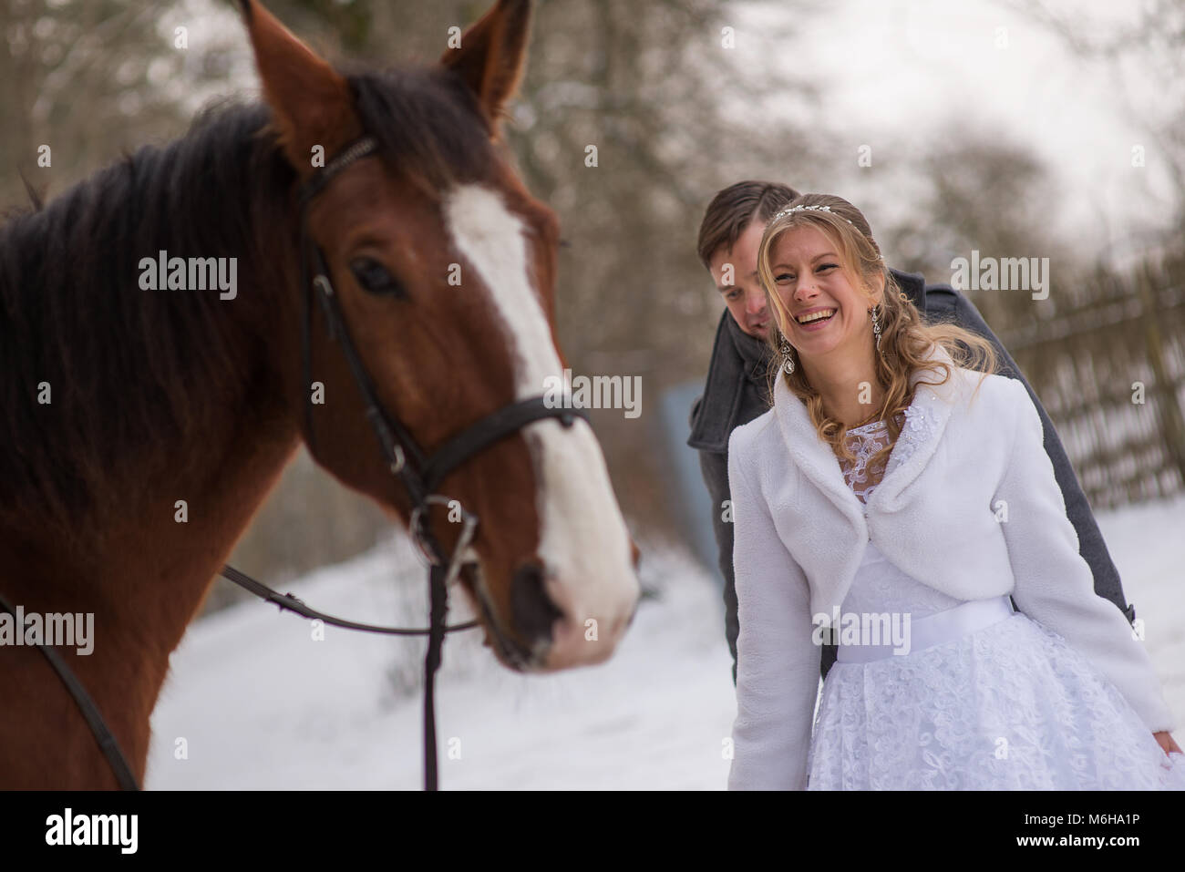 Schönen winter Hochzeit Stockfoto