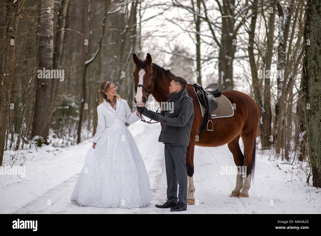 Schönen winter Hochzeit Stockfoto