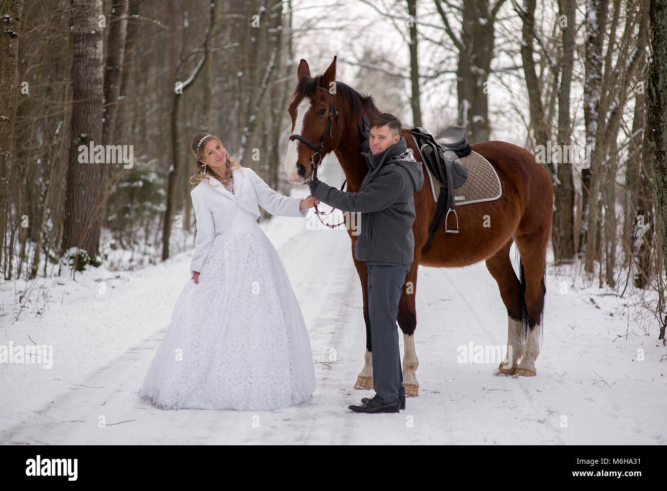 Schönen winter Hochzeit Stockfoto