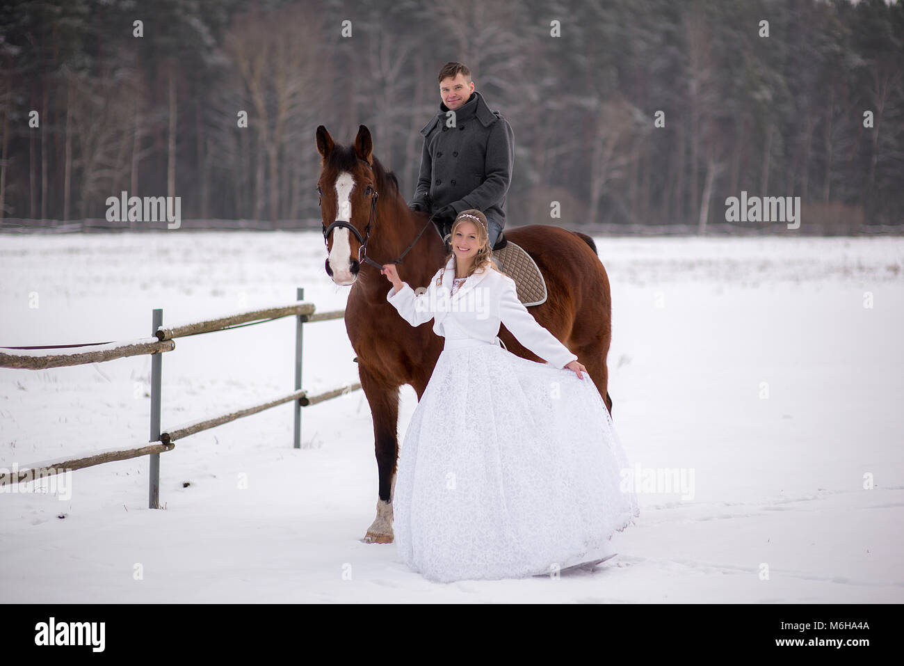 Schönen winter Hochzeit Stockfoto