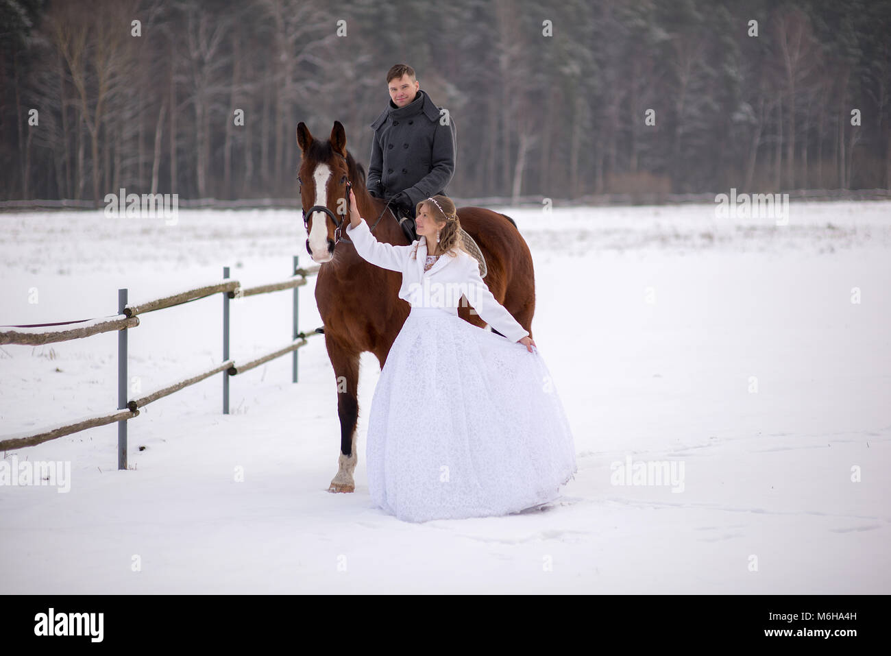 Schönen winter Hochzeit Stockfoto