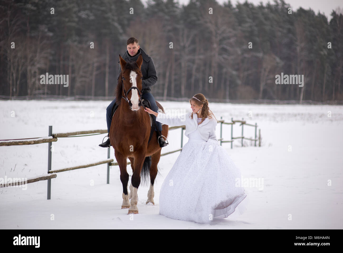 Schönen winter Hochzeit Stockfoto