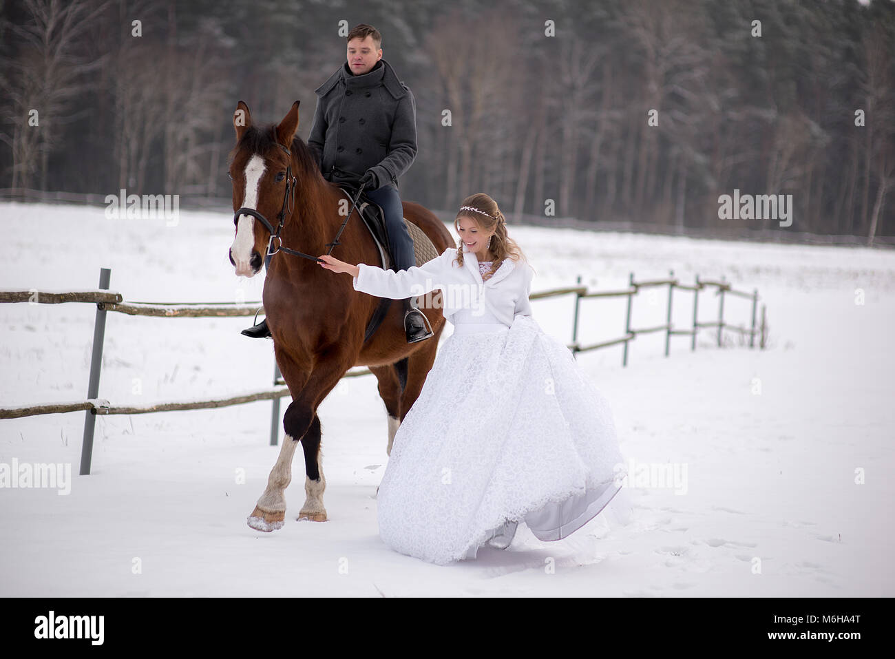 Schönen winter Hochzeit Stockfoto