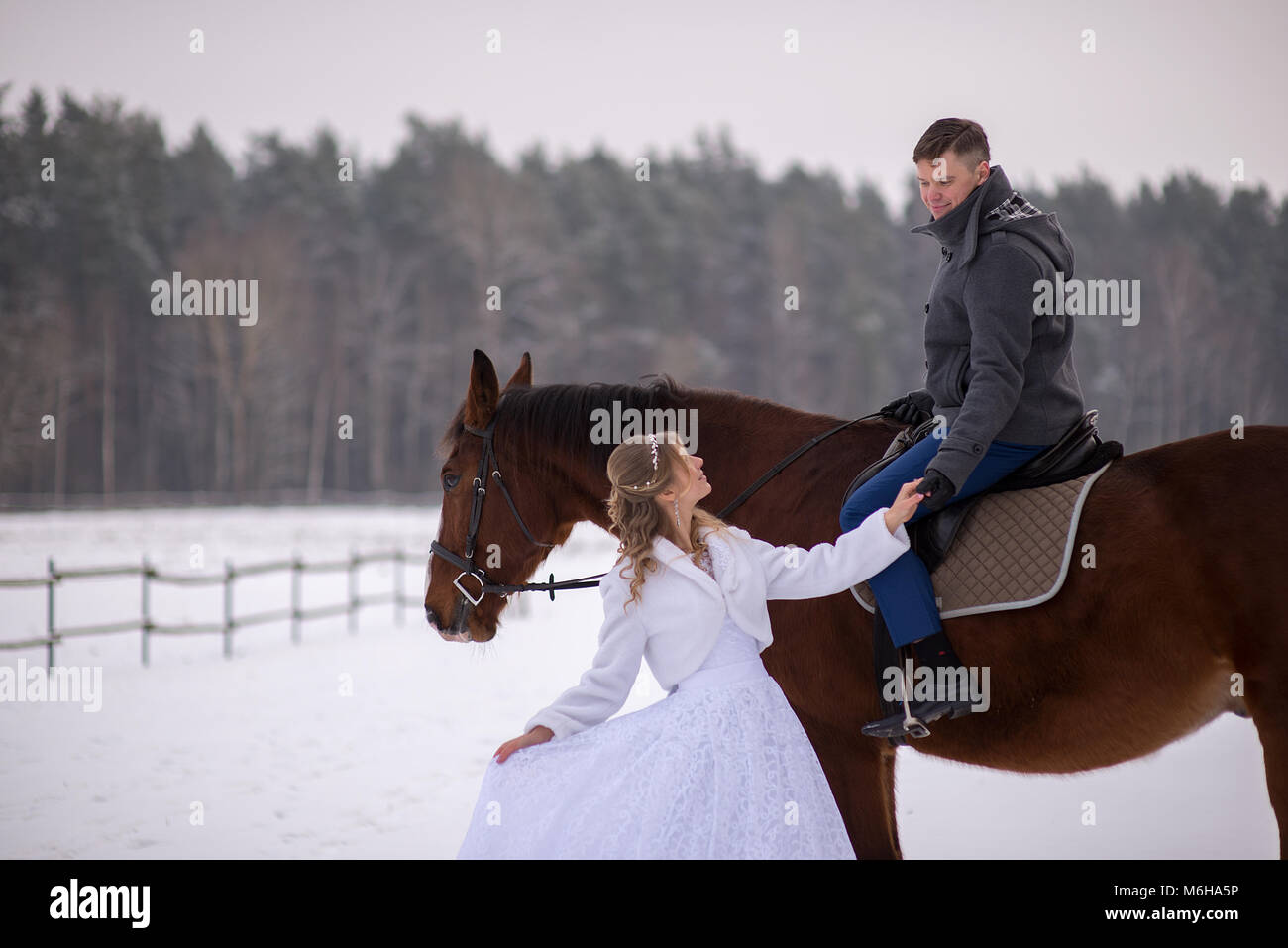 Schönen winter Hochzeit Stockfoto