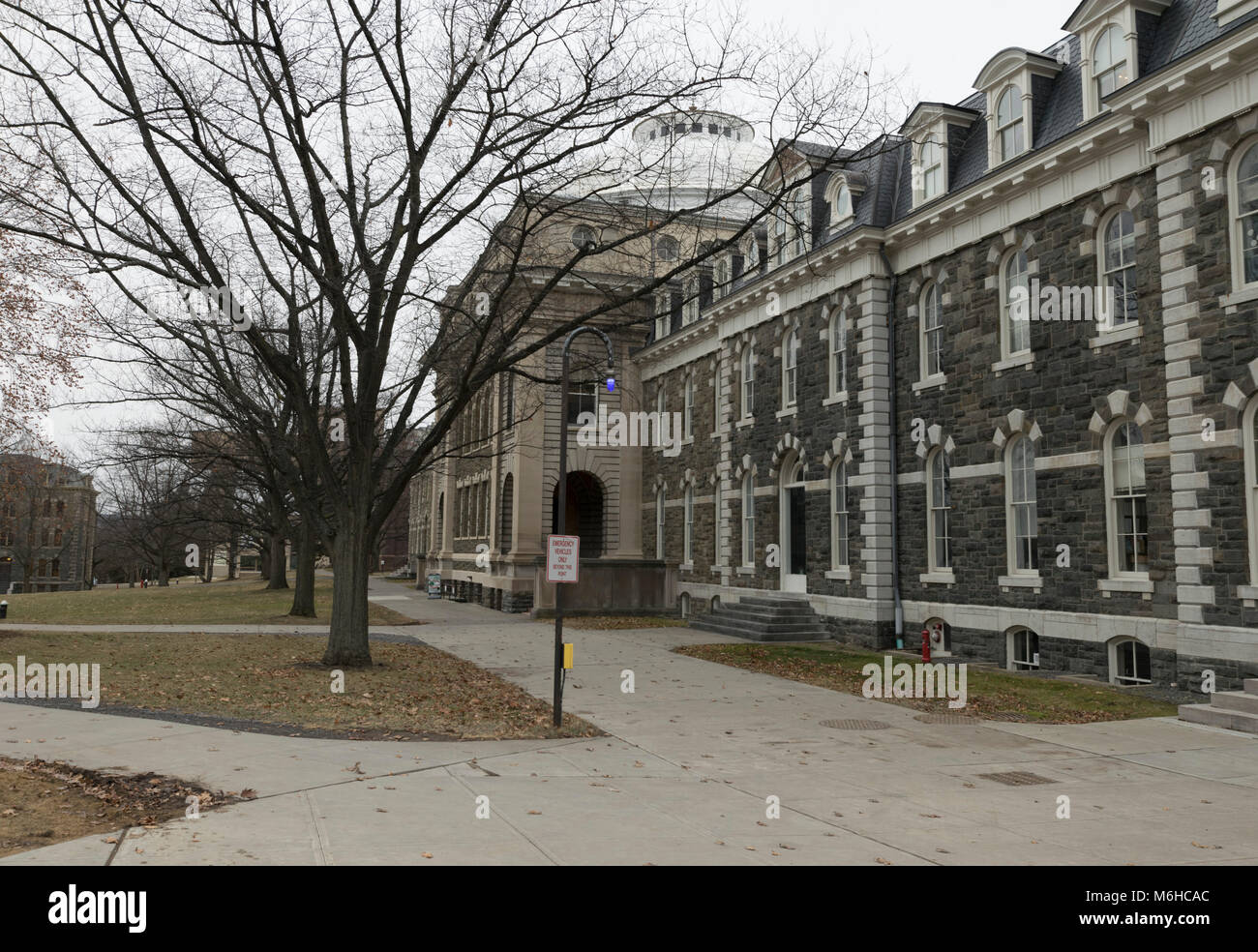 Der Cornell University, Ithaca NY Stockfoto
