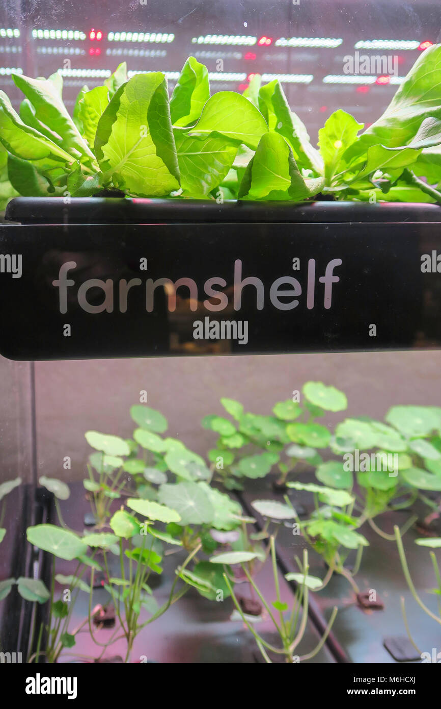 Nördlichen Essen Rittersaal im Grand Central Terminal, NYC, USA Stockfoto