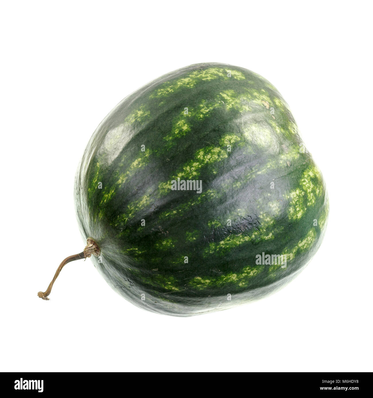 Wassermelone Citrullus lanatus, ist ein Kriechen und die trailing Rebe im südlichen Afrika entstanden, mit mittleren bis dunklen Grün und gefleckt oder gestreift Rinde Stockfoto
