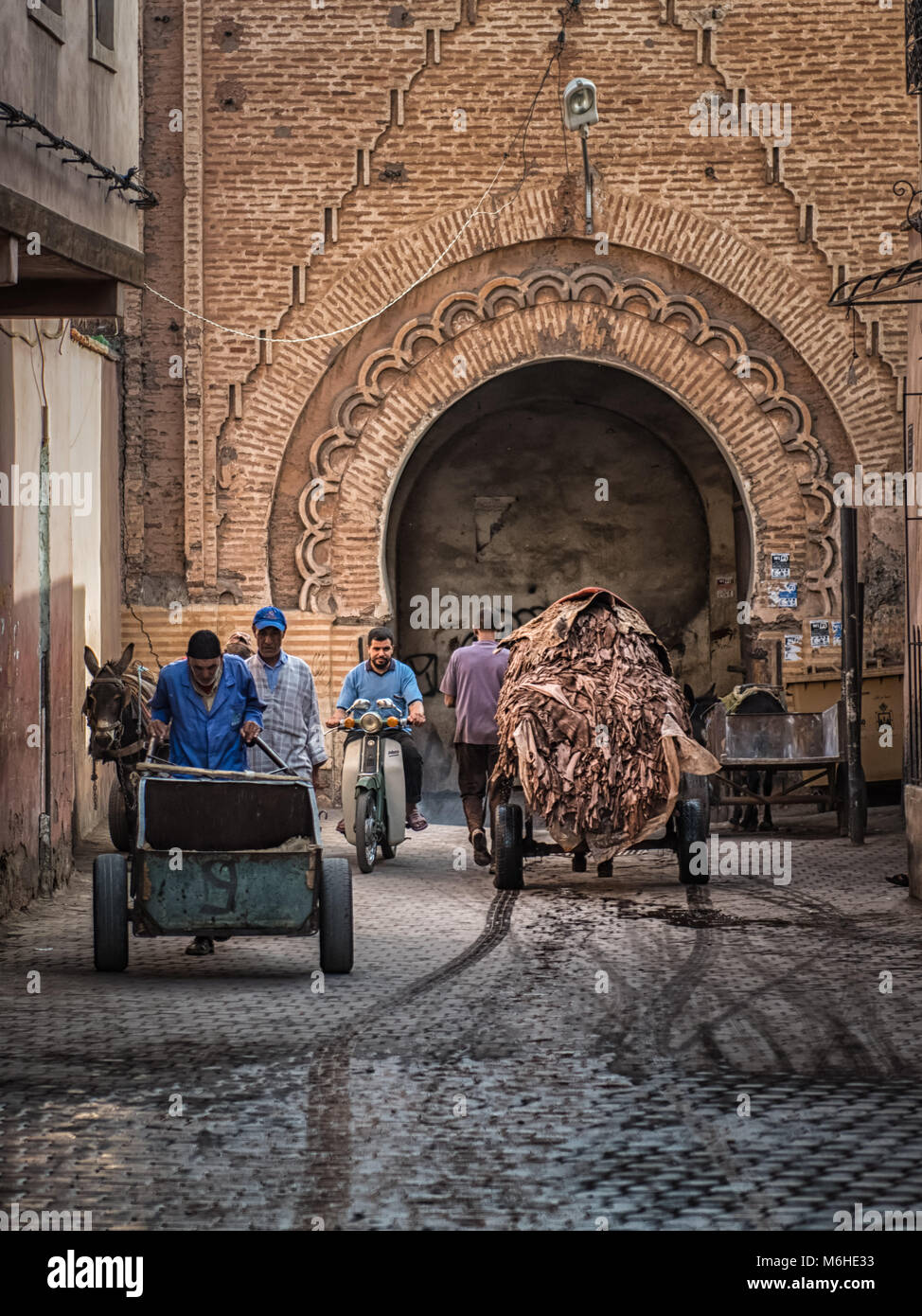 Ein Medina Street in Marrakesch, Marokko in der Gerberei. Eine Karre voller getränkt Lederhäute wird von einem Esel durch einen Torbogen gezogen. Stockfoto
