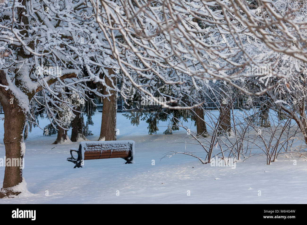 Pinafore Park in St. Thomas, Ontario, Kanada ist mit einem frischen Schnee fallen Ausgeblendet nach Mutter Natur einen späten Winter Storm zur südwestlichen Ontario gebracht. Stockfoto