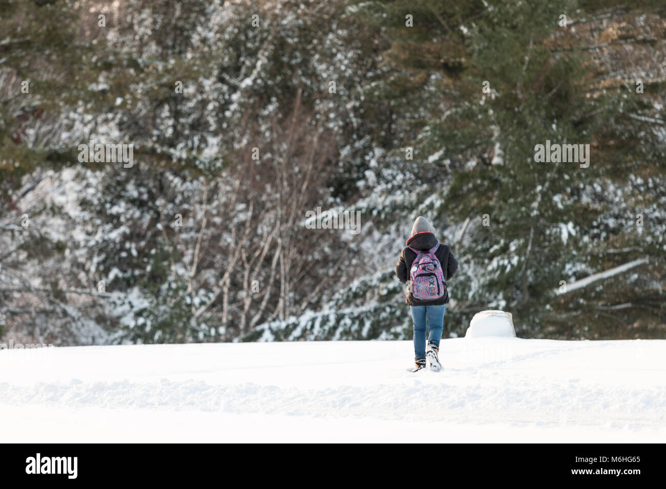 Pinafore Park in St. Thomas, Ontario, Kanada ist mit einem frischen Schnee fallen Ausgeblendet nach Mutter Natur einen späten Winter Storm zur südwestlichen Ontario gebracht. Stockfoto