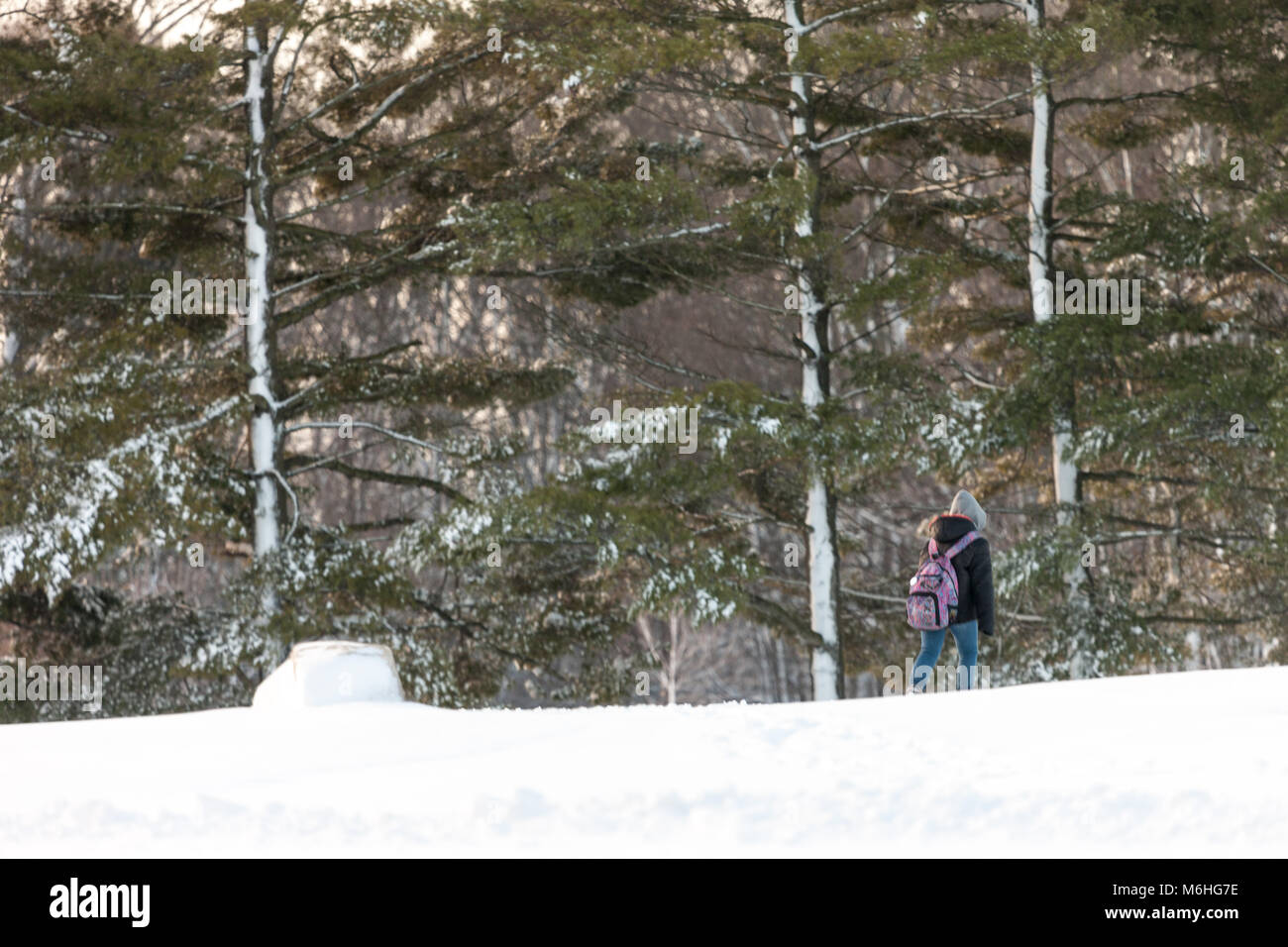 Pinafore Park in St. Thomas, Ontario, Kanada ist mit einem frischen Schnee fallen Ausgeblendet nach Mutter Natur einen späten Winter Storm zur südwestlichen Ontario gebracht. Stockfoto