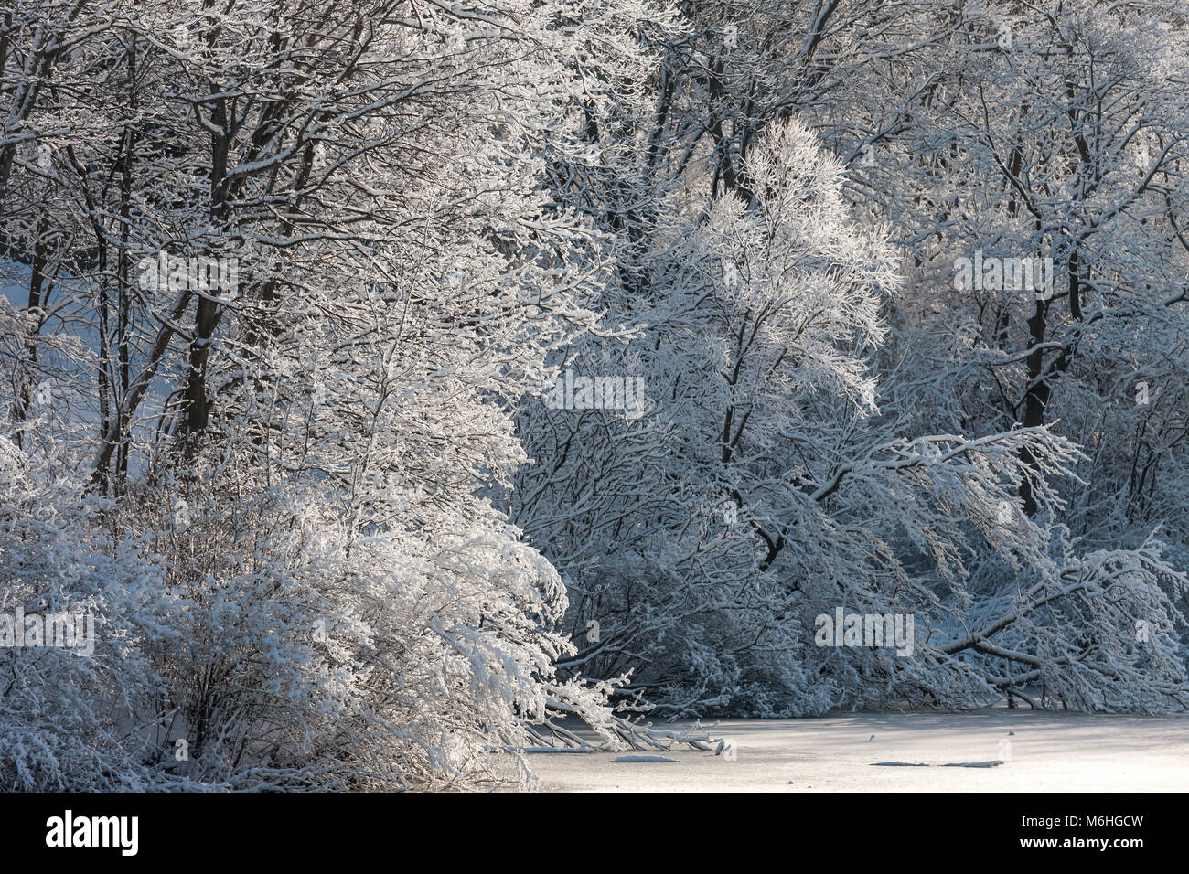 Pinafore Park in St. Thomas, Ontario, Kanada ist mit einem frischen Schnee fallen Ausgeblendet nach Mutter Natur einen späten Winter Storm zur südwestlichen Ontario gebracht. Stockfoto