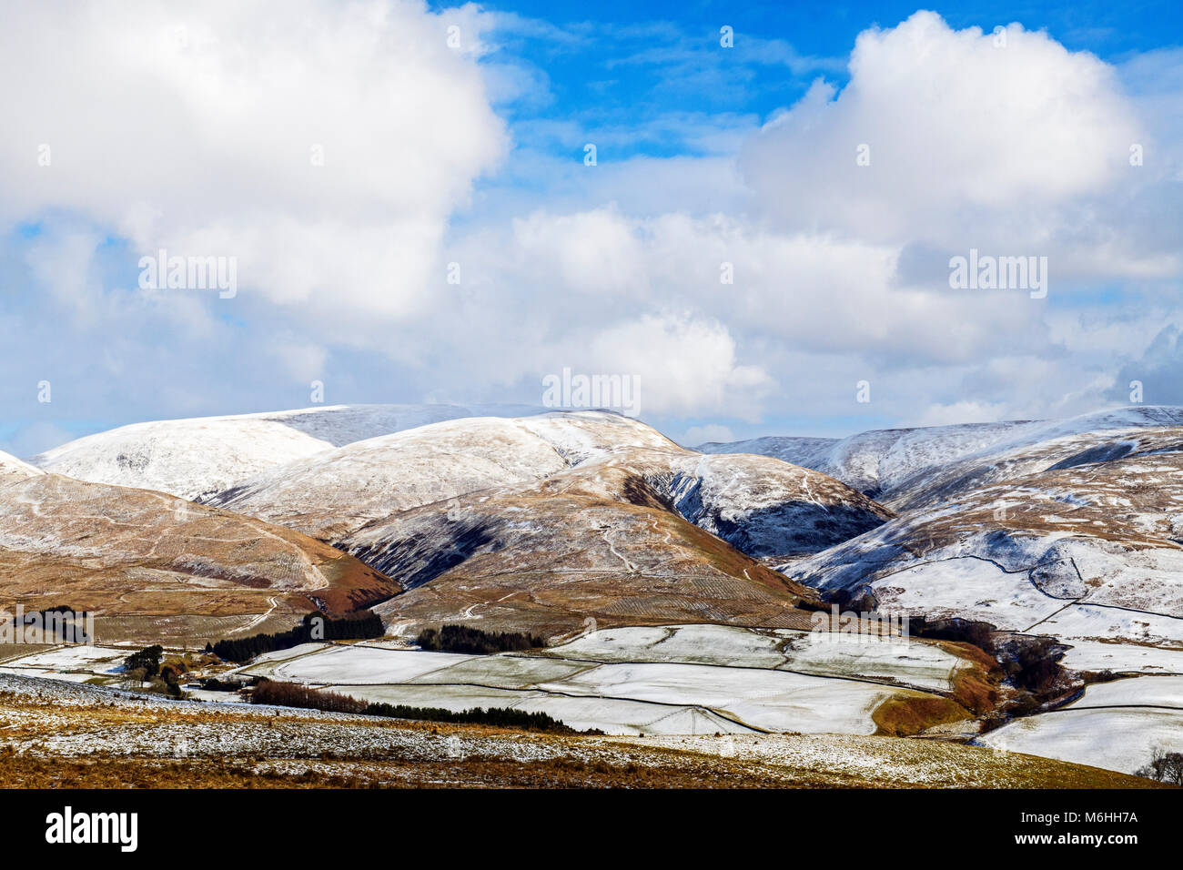 Die moffat Hügeln oberhalb von Moffat im südlichen Schottland im Winter Stockfoto