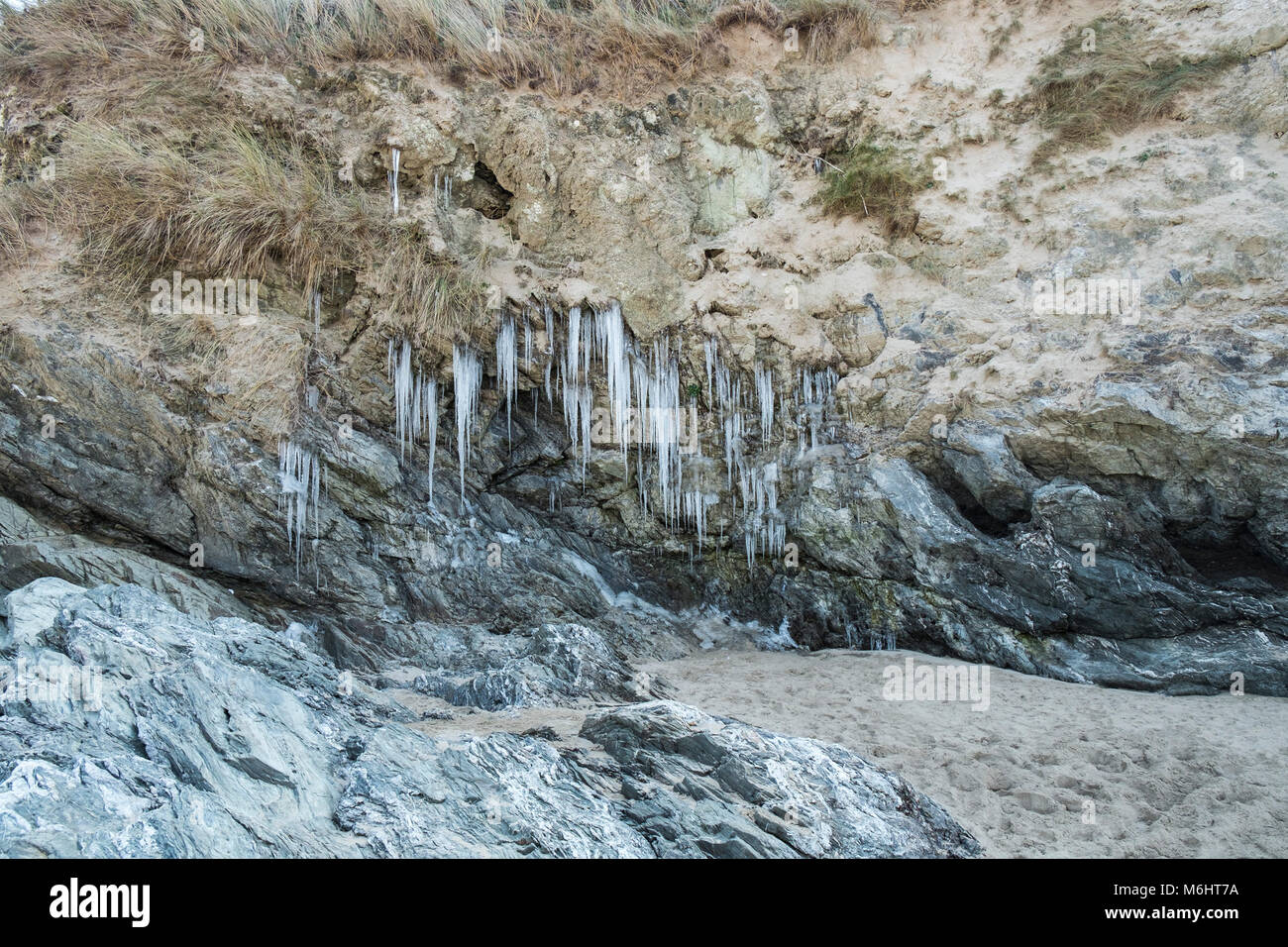UK Wetter Eiszapfen von Wasser aus dem Grundwasser durch Sanddünen an Crantock Beach in Newquay Cornwall sickert gebildet. Stockfoto