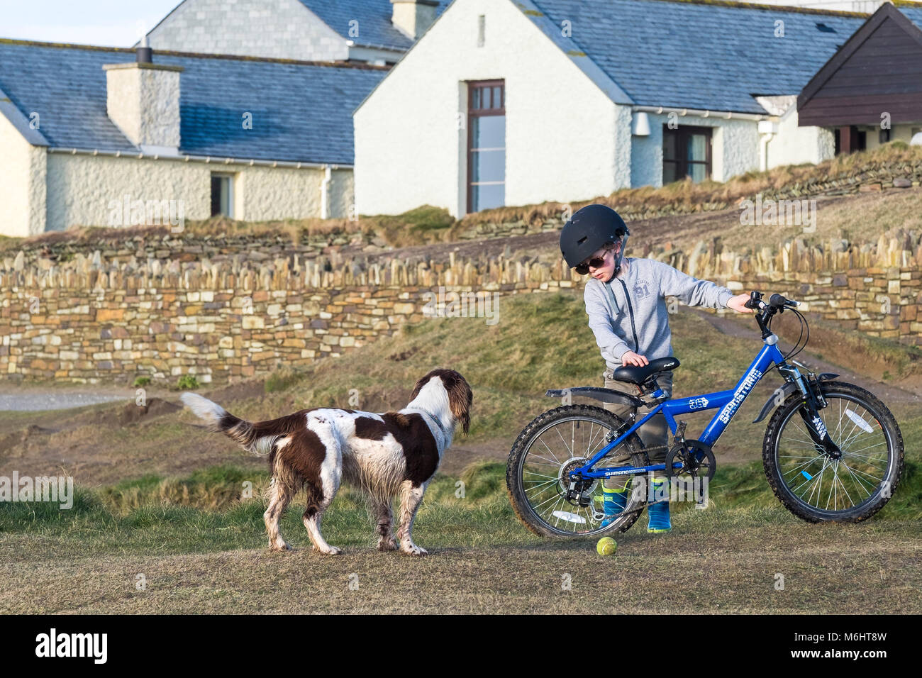 Ein Junge mit seinem Fahrrad und seinem Hund. Stockfoto