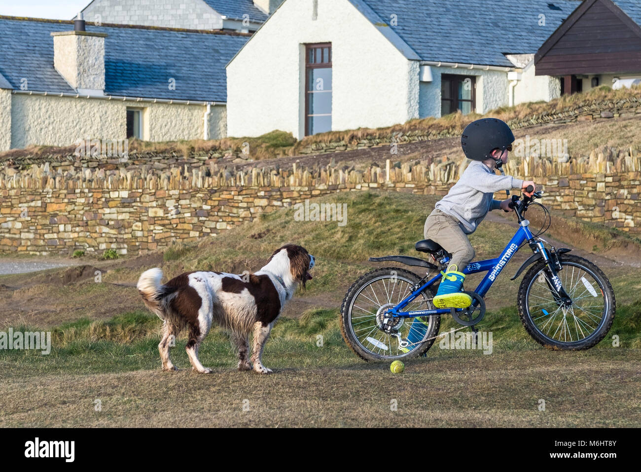 Ein kleiner Junge auf seinem Fahrrad mit seinem Hund. Stockfoto