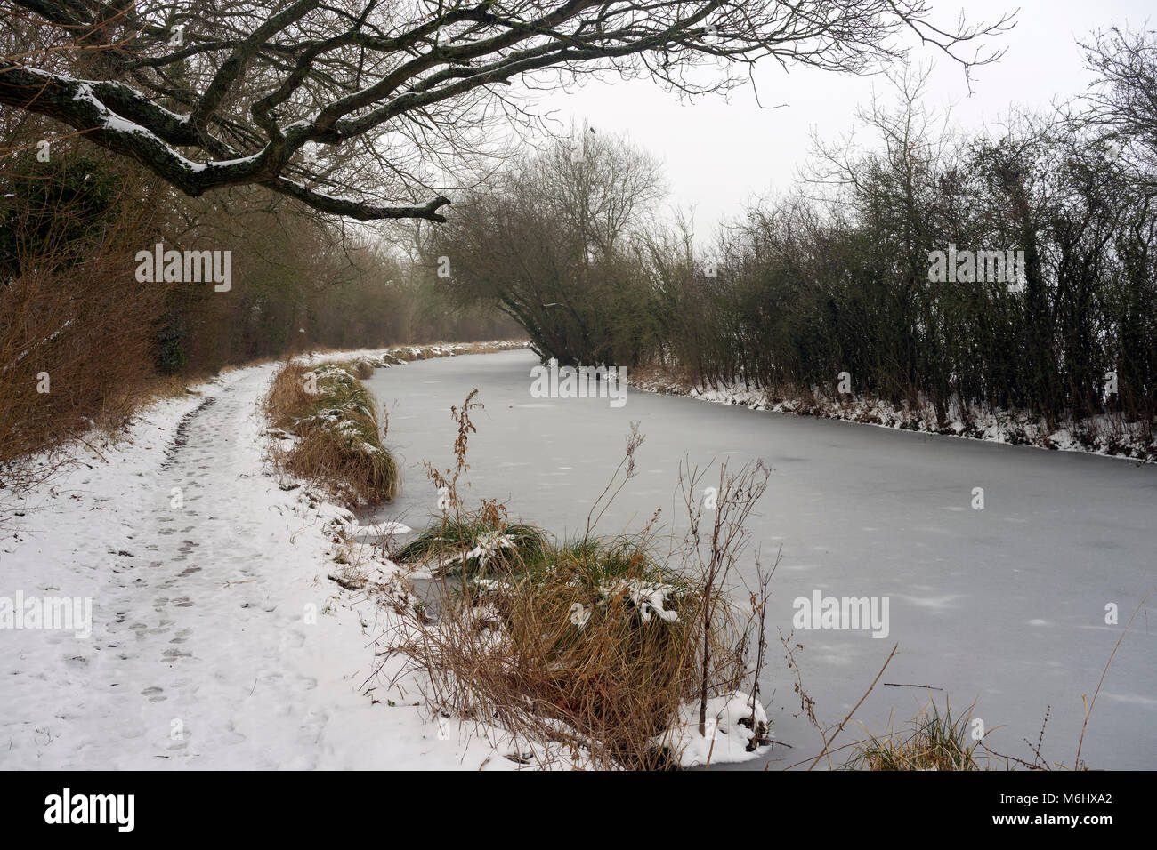 Der Basingstoke Canal an Odiham in Hampshire an einem verschneiten Tag im Winter Stockfoto