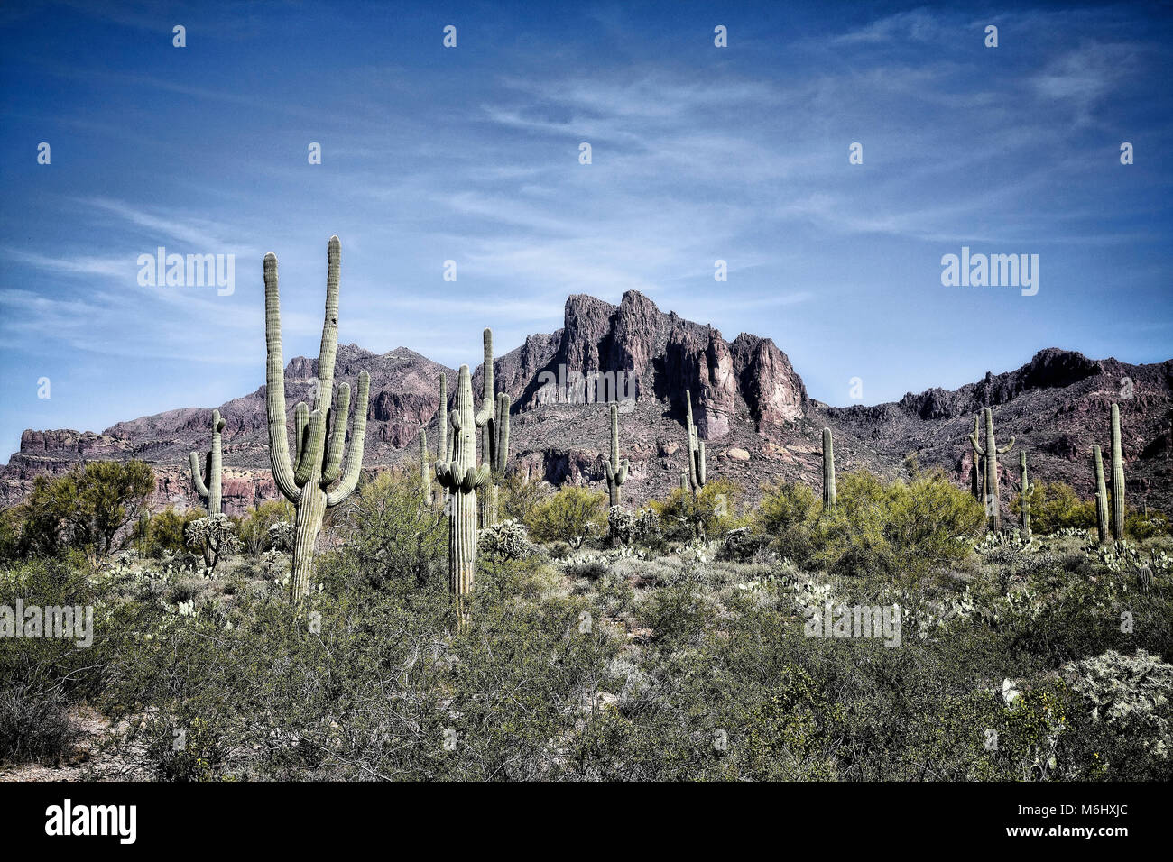 Sonoran Wüste Landschaft in den Superstition Mountains von Arizona. Stockfoto