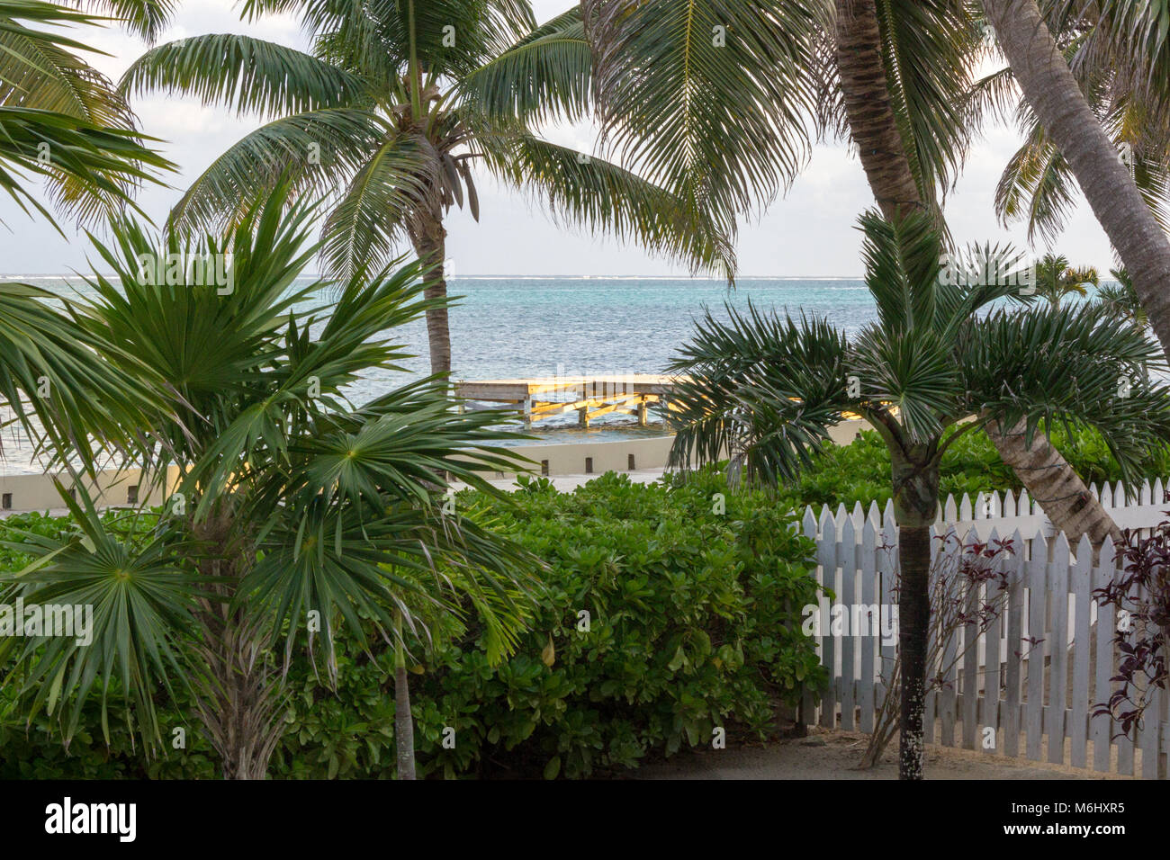 Den späten Tag Sonne wirft ein warmes Glühen über ein Dock in der Ferne durch die Palmen. Stockfoto
