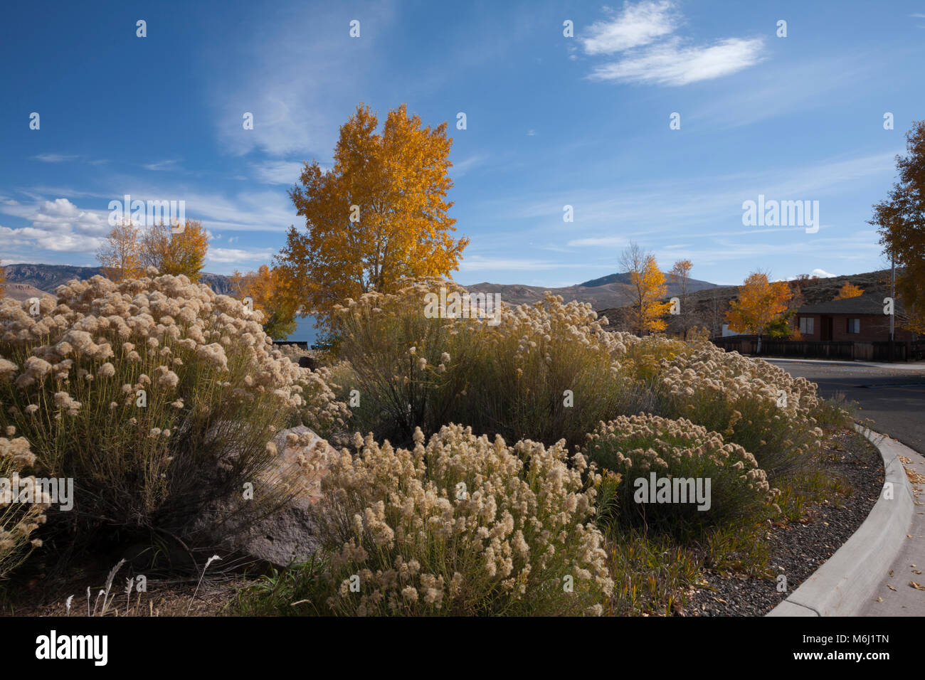 Idyllischen glühende soft Herbst Laub unter strahlend blauem Himmel wispy Wolken, Colorado Curecanti National Recreation Area Bergsee in zurück Stockfoto