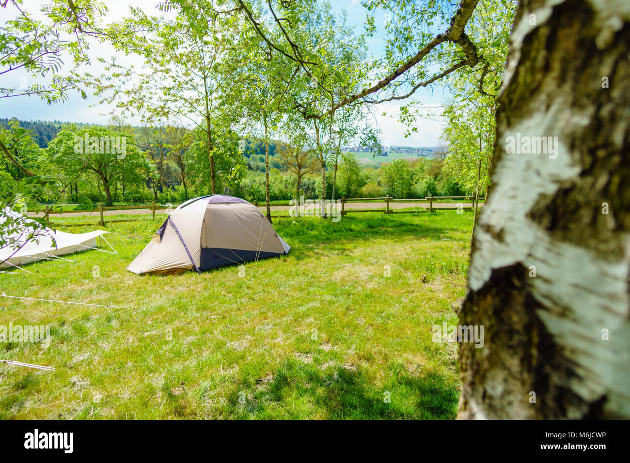 Zelt im Wald im Sommer Stockfoto