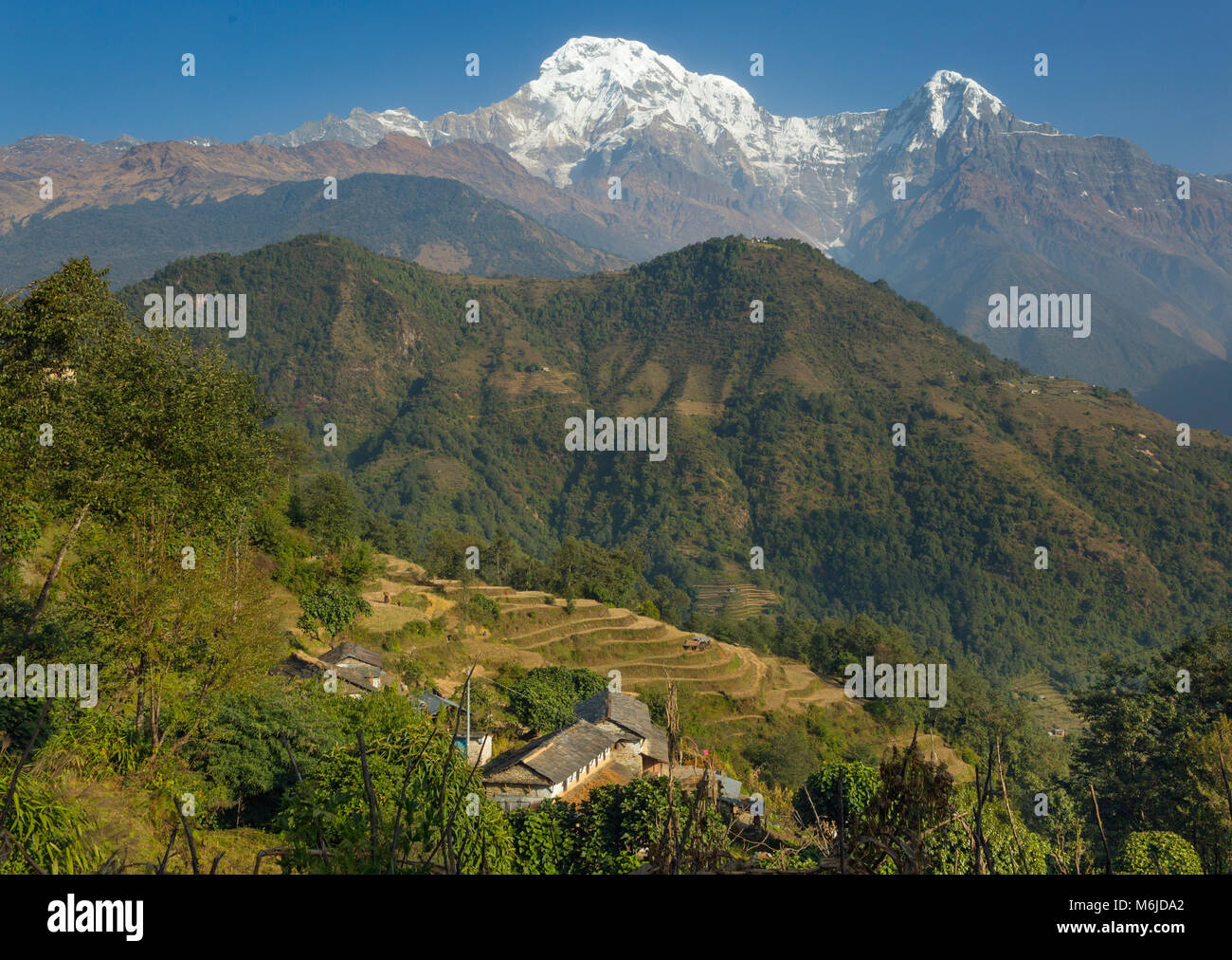 Die Berge Annapurna und Machhapuchchhre oder Fishtail Berg aus dem Dorf Ghandruk in den Modi Khola Tal Nepal Stockfoto